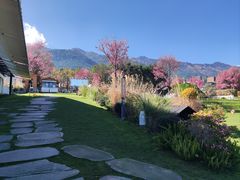 -云禾壹海景庄园餐厅