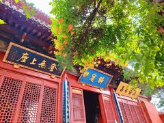 -洛阳白马寺