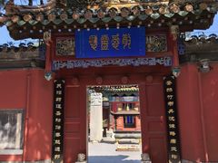 -药王庙(安国市)