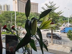 沿窗风景-RELLMAN莱尔曼牛扒(长安店)