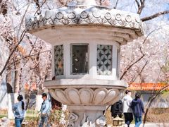 -大乘寺