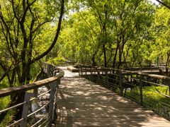 -西湖风景区-江洋畈生态公园