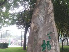 -唐城墙遗址公园
