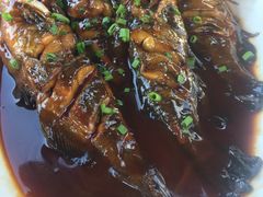 -古尚锦酒楼·水上餐厅