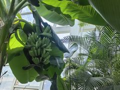 -石家庄市植物园