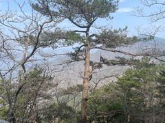 -明堂山风景区