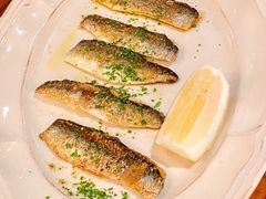 -TOMATITO(无限极荟店)