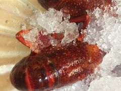 -怪怪龙虾·澳洲蓝龙王·深夜食堂(惊驾路店)