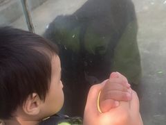 -南昌动物园
