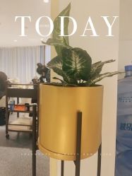 -MIVI野生眉纹绣纹眉