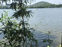 -东湖食堂·湖景餐厅•会议