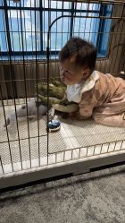 -奈尔宝·儿童乐园·亲子餐厅(华采天地店)