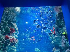 -海合安青岛极地海洋公园