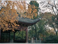-汇龙潭