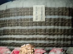 -爱新觉罗皇家博物院