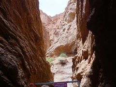 -天山神秘大峡谷