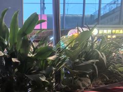 -牛啤堂精酿啤酒餐吧(五棵松华熙店)