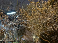 -安定门(地铁站)