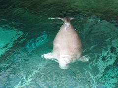 -悉尼海洋生物水族馆