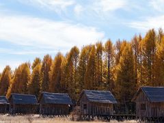 -塞罕坝国家级自然保护区