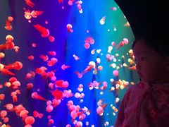 -成都浩海立方海洋公园