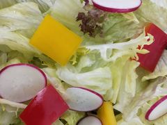 -锦粤宫·精致粤菜(深圳北站店)