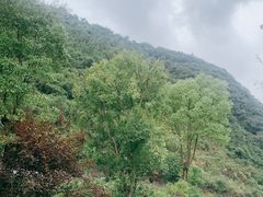 -娄山关景区
