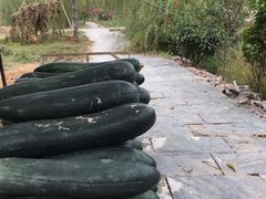 -上甘棠村