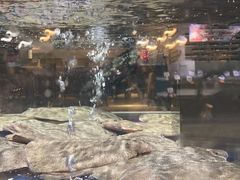 -盒马鲜生(枣园路店)