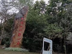 -马峦山郊野公园