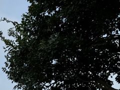 -南京市江宁方山