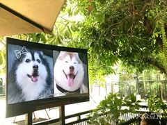 -TrueLove @ Neverland (Husky Cafe)