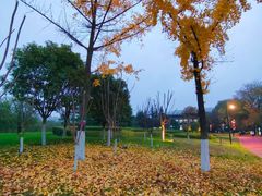 -城市运动公园(未央区)