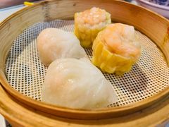 -憶廟街 X 沙角邨(太古城店)
