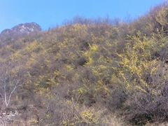 -太行锡崖沟旅游度假区