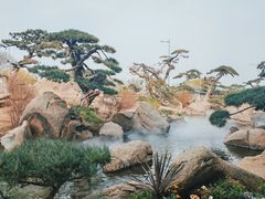 -罗红摄影艺术馆