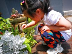 -IFIF 如果花園(宽厚里店)