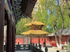 -护国法轮寺