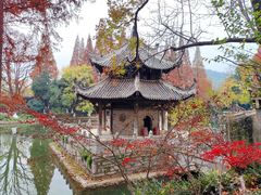 -习家池