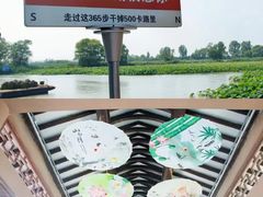 -微山湖红荷湿地景区
