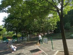 -大望京儿童游乐场