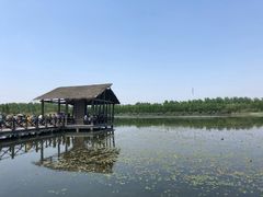 -溱湖国家湿地公园