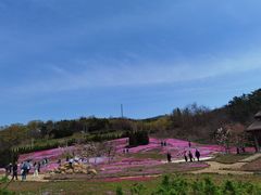 -棒棰岛宾馆景区