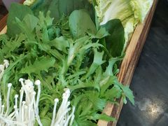 -南门四季铜锅涮肉(左家庄店)