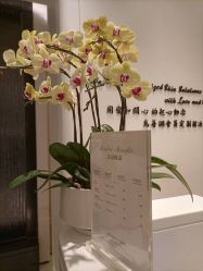 -奥斯芬·欧系贵族SPA