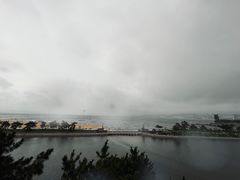 -莫内艺术岛海景咖啡