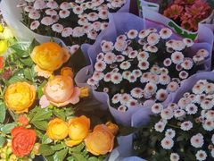 -循礼门鲜花花市(武汉循礼门店)