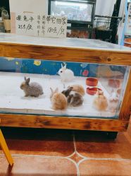 -卡通尼乐园·生日会(烟台永旺店)
