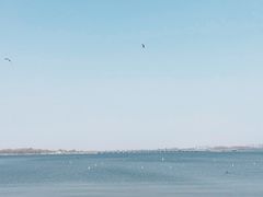-丁香湖公园