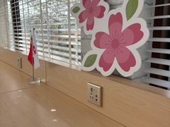 -高东镇樱花园